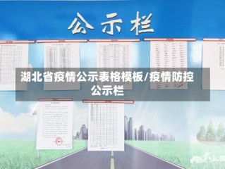 湖北省疫情公示表格模板/疫情防控公示栏