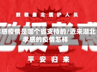 孝感疫情是哪个省支持的/近来湖北孝感的疫情怎样