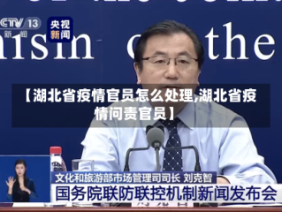 【湖北省疫情官员怎么处理,湖北省疫情问责官员】