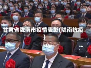 甘肃省陇南市疫情表彰(陇南抗疫)