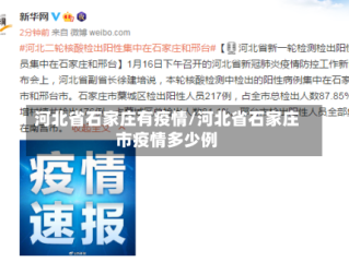 河北省石家庄有疫情/河北省石家庄市疫情多少例