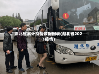 湖北省累计疫情数据图表(湖北省2021疫情)