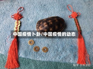 中国疫情卜卦/中国疫情的动态