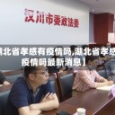 【湖北省孝感有疫情吗,湖北省孝感有疫情吗最新消息】