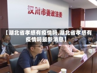 【湖北省孝感有疫情吗,湖北省孝感有疫情吗最新消息】