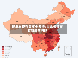 湖北省现在有多少疫情/湖北省现在有新增病例吗