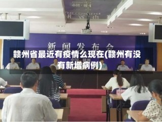 赣州省最近有疫情么现在(赣州有没有新增病例)