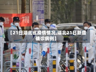【21日湖北省疫情情况,湖北21日新增确诊病例】