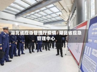 湖北省应急管理厅疫情/湖北省应急管理中心