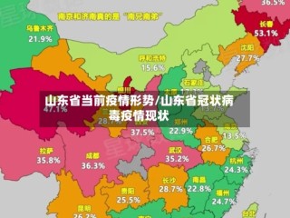 山东省当前疫情形势/山东省冠状病毒疫情现状