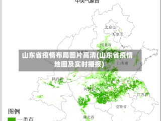 山东省疫情布局图片高清(山东省疫情地图及实时播报)