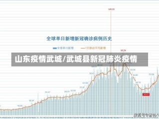 山东疫情武城/武城县新冠肺炎疫情