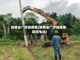 陕西省广坪镇疫情(陕西省广坪镇疫情防控电话)