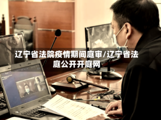 辽宁省法院疫情期间庭审/辽宁省法庭公开开庭网