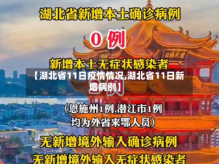 【湖北省11日疫情情况,湖北省11日新增病例】