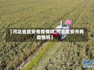 【河北省武安有疫情吗,河北武安市有疫情吗】