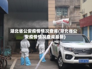 湖北省公安疫情情况查询(湖北省公安疫情情况查询最新)