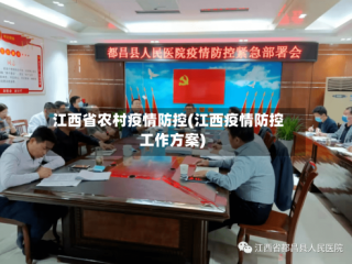 江西省农村疫情防控(江西疫情防控工作方案)