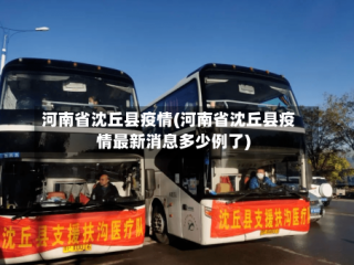 河南省沈丘县疫情(河南省沈丘县疫情最新消息多少例了)