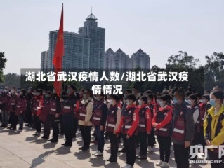 湖北省武汉疫情人数/湖北省武汉疫情情况