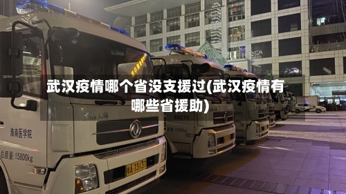 武汉疫情哪个省没支援过(武汉疫情有哪些省援助)