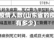 山东省的疫情人数(山东省的疫情人数有多少)