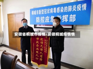 安徽省桐城市疫情/安徽桐城疫情情