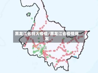 黑龙江省特大疫情/黑龙江省疫情爆发