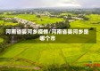 河南省晏河乡疫情/河南省晏河乡是哪个市