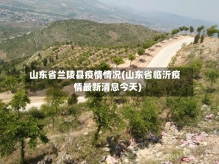 山东省兰陵县疫情情况(山东省临沂疫情最新消息今天)