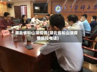 湖北省松山湖疫情(湖北省松山湖疫情防控电话)