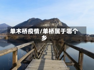 单木桥疫情/单桥属于哪个乡