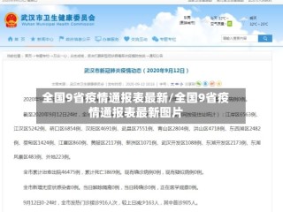 全国9省疫情通报表最新/全国9省疫情通报表最新图片