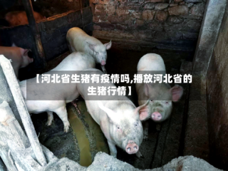 【河北省生猪有疫情吗,播放河北省的生猪行情】