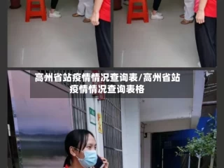 高州省站疫情情况查询表/高州省站疫情情况查询表格