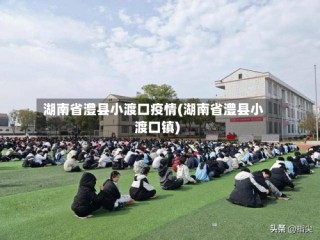 湖南省澧县小渡口疫情(湖南省澧县小渡口镇)