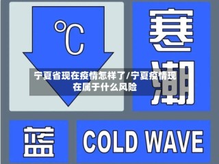 宁夏省现在疫情怎样了/宁夏疫情现在属于什么风险