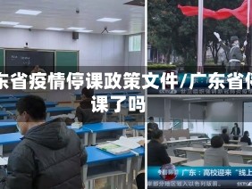 广东省疫情停课政策文件/广东省停课了吗
