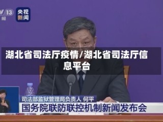 湖北省司法厅疫情/湖北省司法厅信息平台