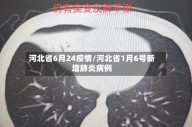 河北省6月24疫情/河北省1月6号新增肺炎病例