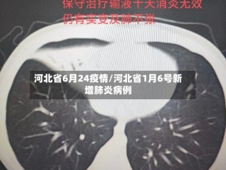 河北省6月24疫情/河北省1月6号新增肺炎病例