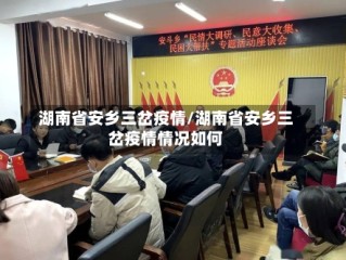 湖南省安乡三岔疫情/湖南省安乡三岔疫情情况如何