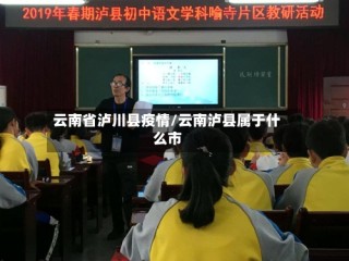 云南省泸川县疫情/云南泸县属于什么市