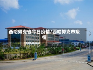 西哈努克省今日疫情/西哈努克市疫情