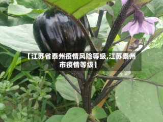 【江苏省泰州疫情风险等级,江苏泰州市疫情等级】