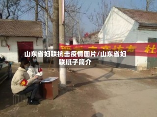 山东省妇联抗击疫情图片/山东省妇联班子简介