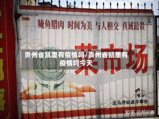贵州省凯里有疫情吗/贵州省凯里有疫情吗今天