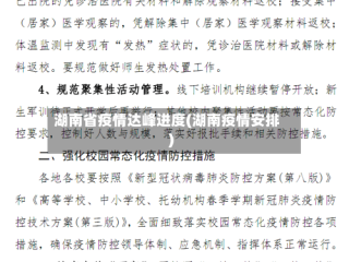 湖南省疫情达峰进度(湖南疫情安排)