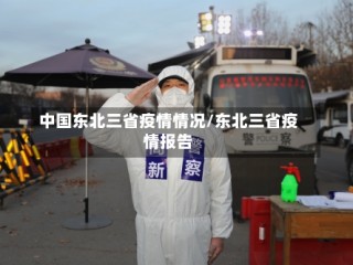 中国东北三省疫情情况/东北三省疫情报告