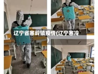 辽宁省寒岭镇疫情(辽宁寒冷)